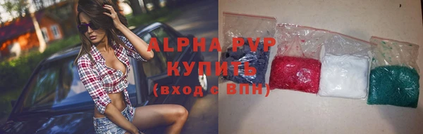 стафф Дмитров