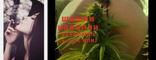 альфа пвп Дмитровск
