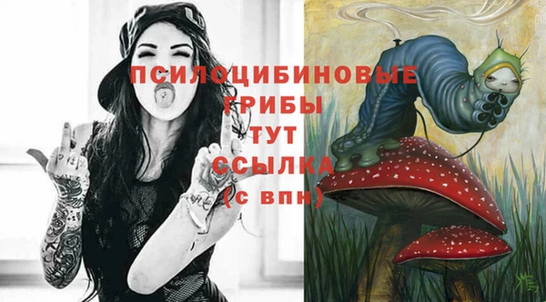 стафф Дмитров