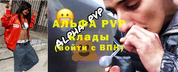 стафф Дмитров