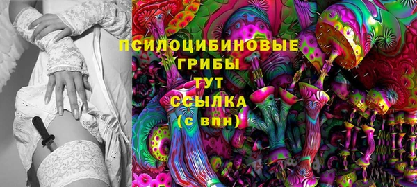 альфа пвп Дмитровск