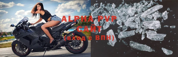 стафф Дмитров