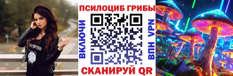 Купить закладки  Чудово  Галлюциногенные грибы Magic Shrooms 